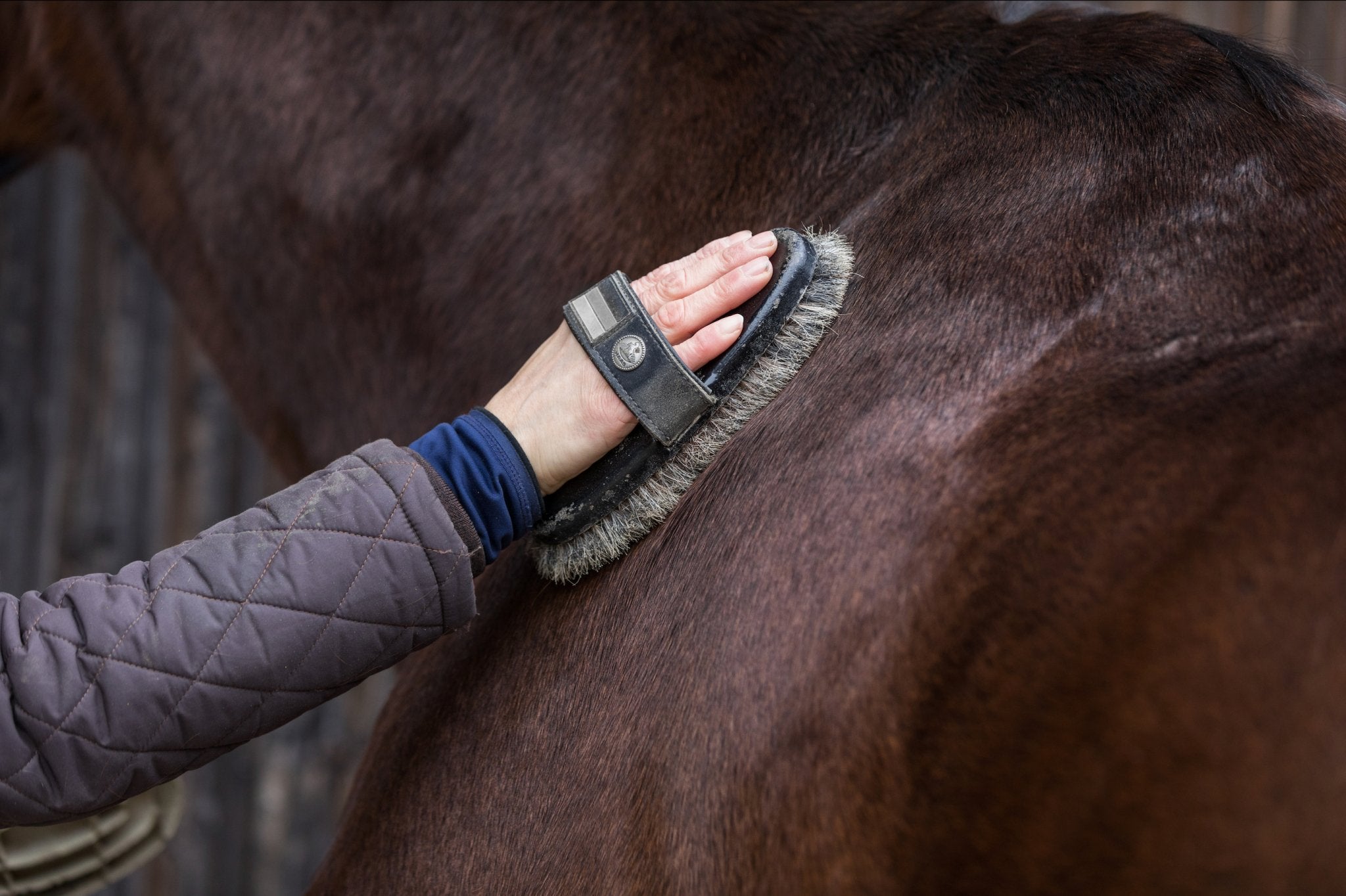 Winter Coat Essentials - Corro