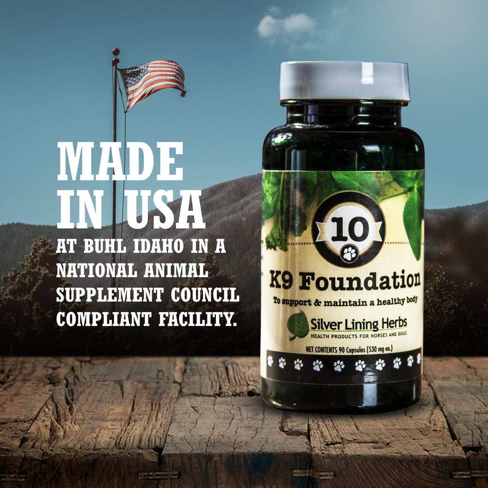 Silver Lining Herbs Foundation for Canines