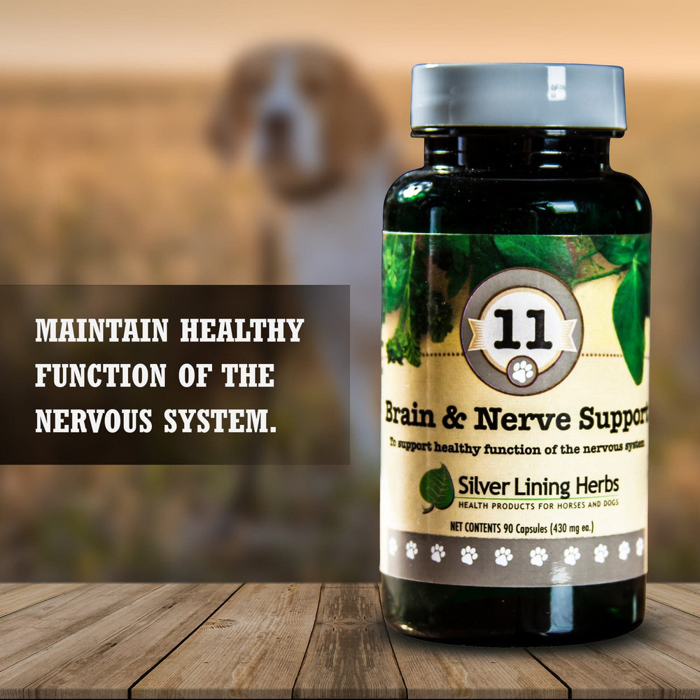 Silver Lining Herbs Brain & Nerve Support for Canines
