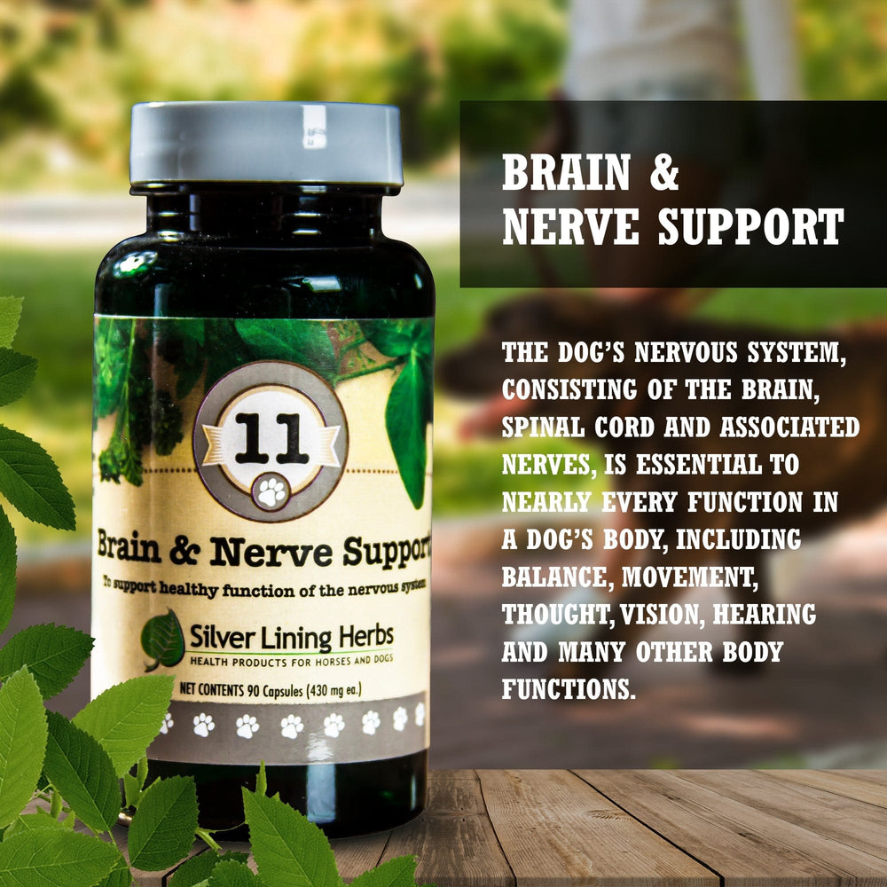 Silver Lining Herbs Brain & Nerve Support for Canines