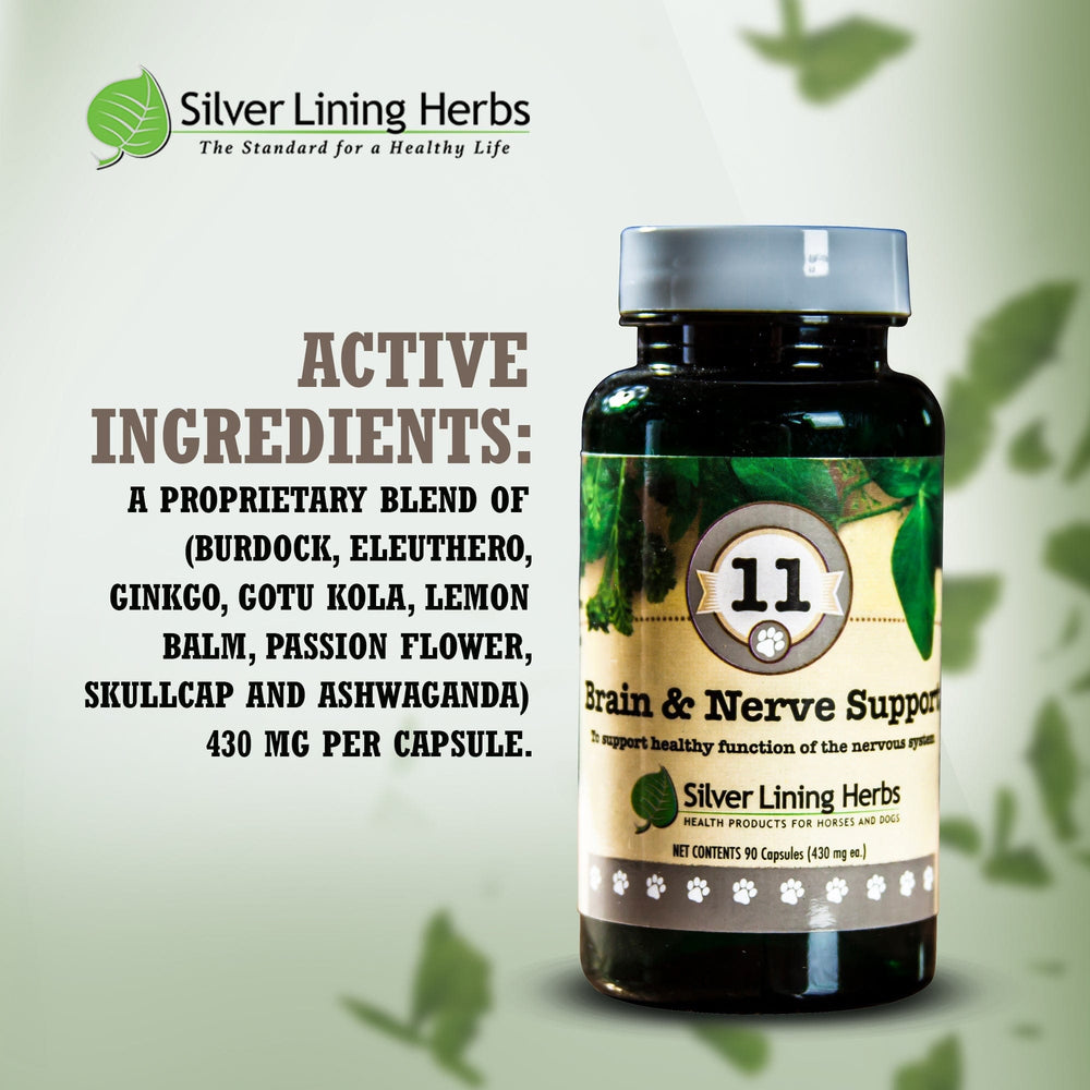 Silver Lining Herbs Brain & Nerve Support for Canines