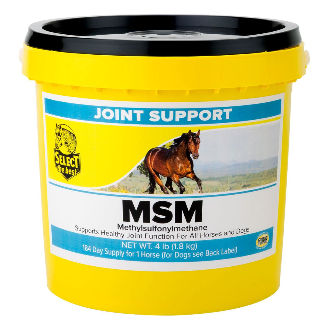 Select the Best MSM Joint Support Powdered Supplement