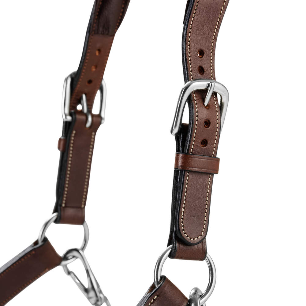 Bhoof Halter 1 - Leather