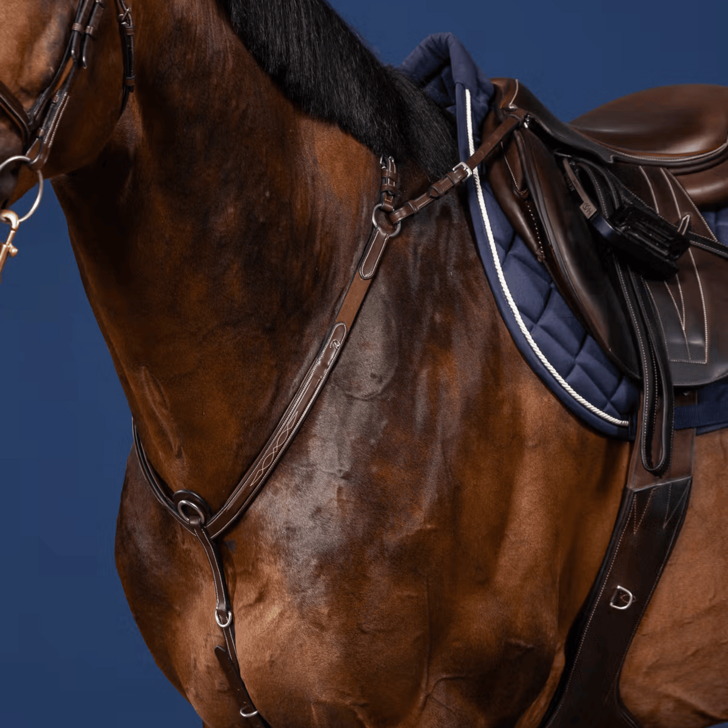 Dy'on Bridge Breastplate US Collection