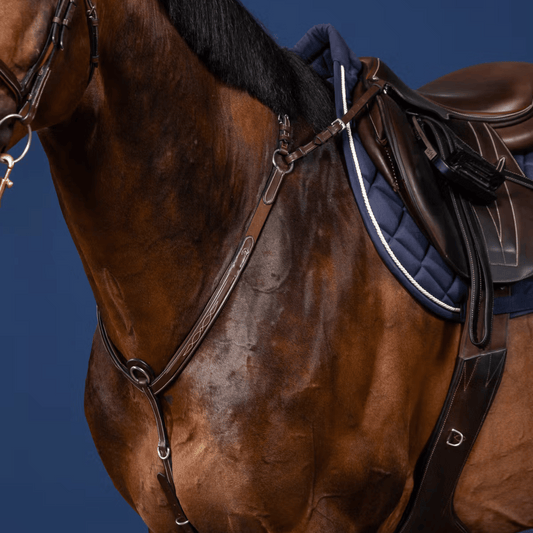 Dy'on Bridge Breastplate US Collection