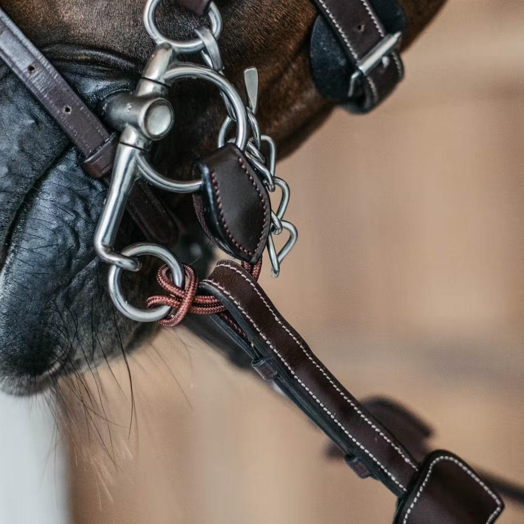 Dy'on Short Pelham Strap