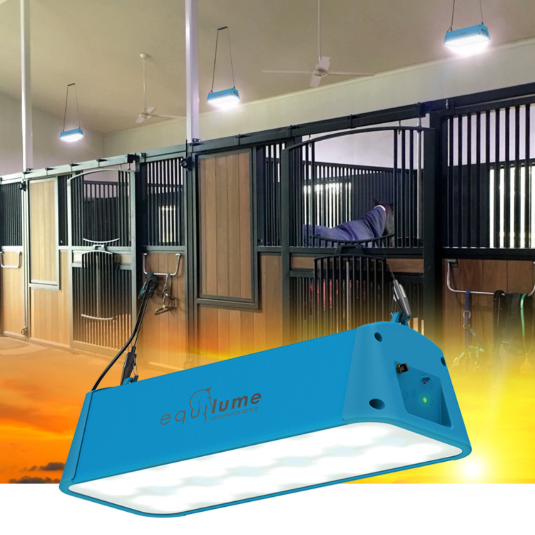 EquiLume Stable Light | Corro