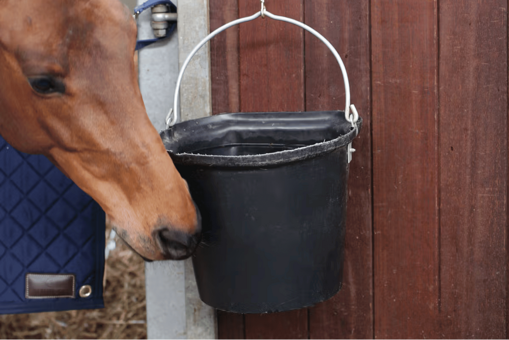 Kentucky Horsewear Nylon Holder Hook & Ring