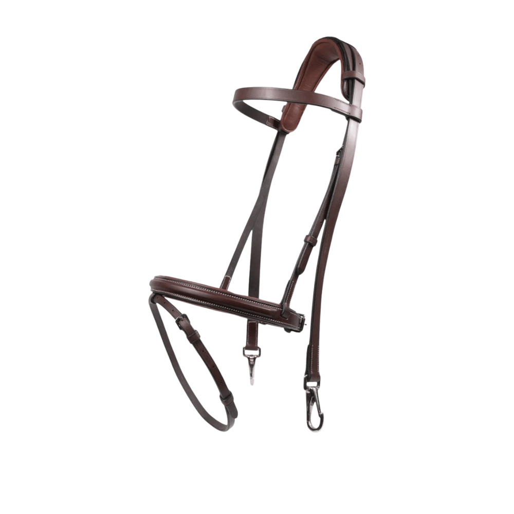 AJR Sport Training Bridle with Pad and Rubber Reins with Clips