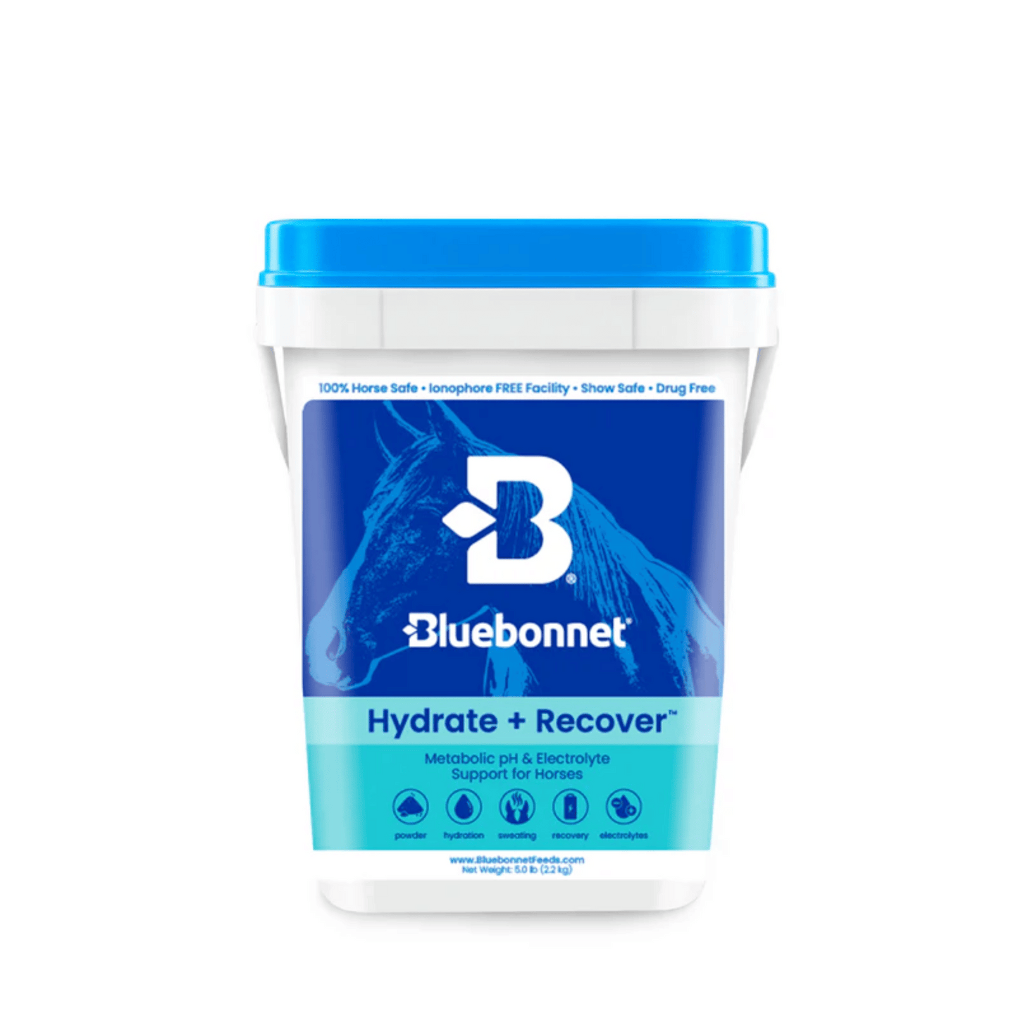 Bluebonnet Hydrate + Recover (Turbo Mag BCAA)