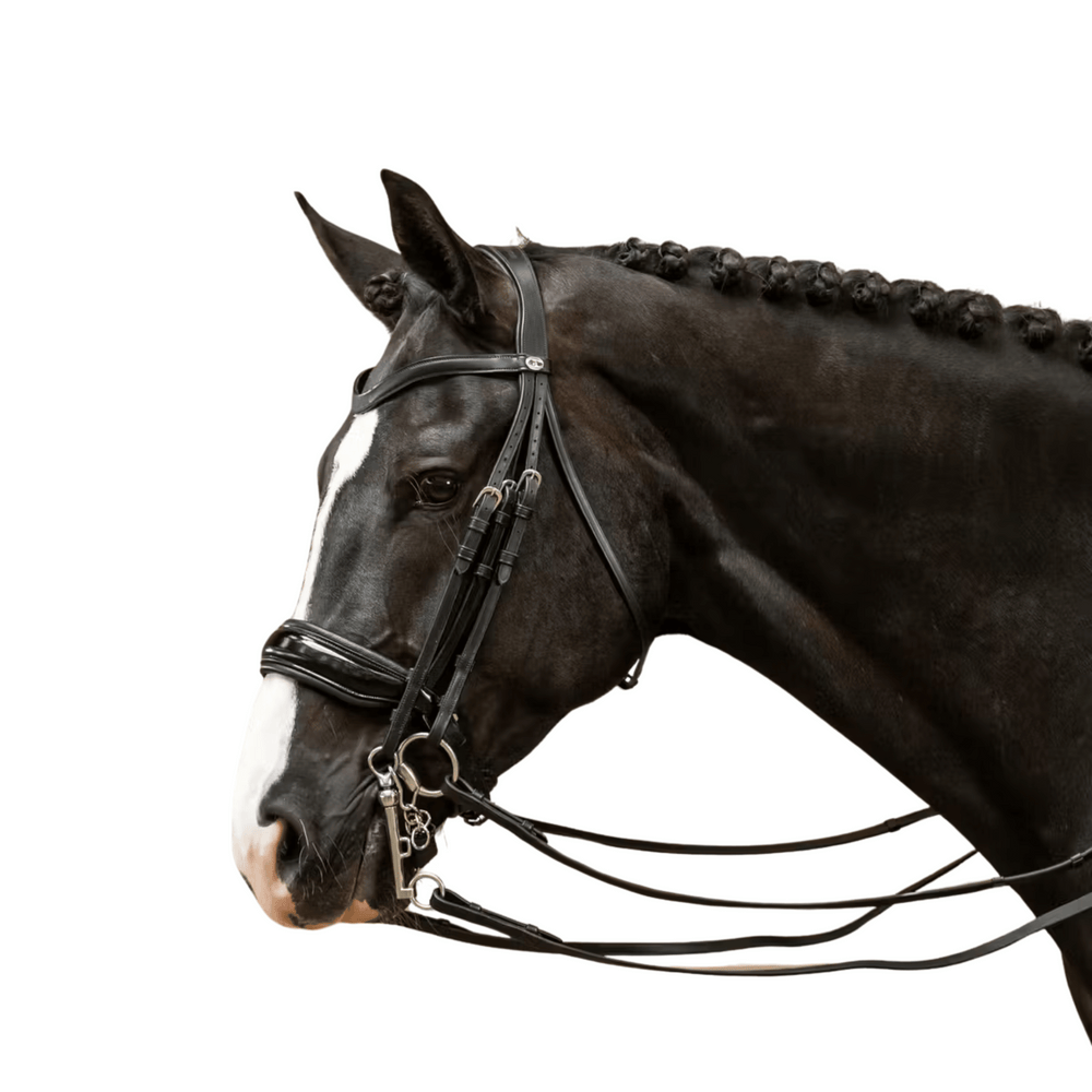Dy'on Patent Large Crank Noseband Double Bridle