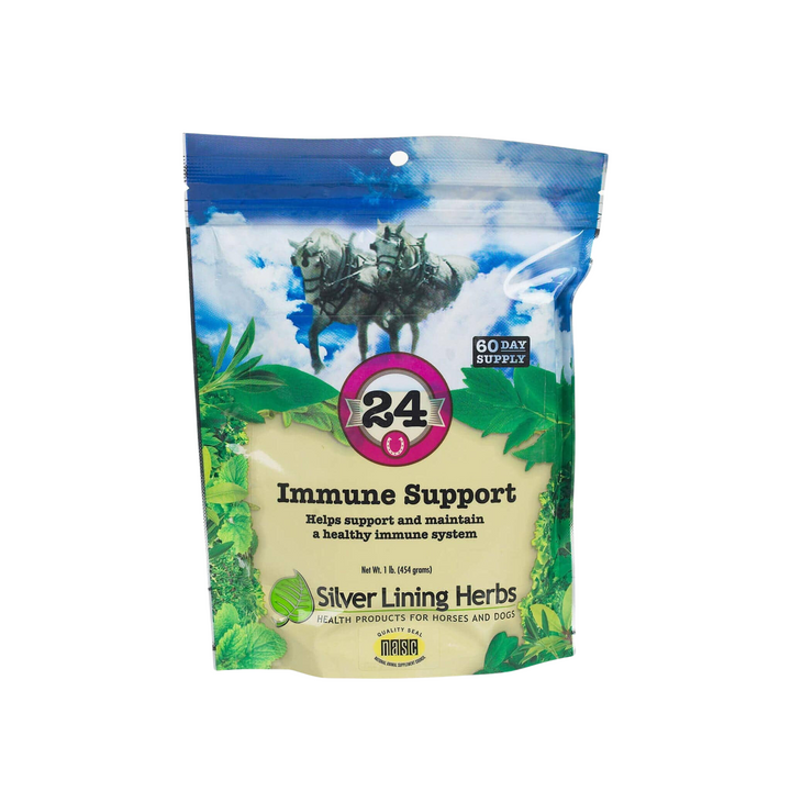 Silver Lining Herbs 24 Immune Support