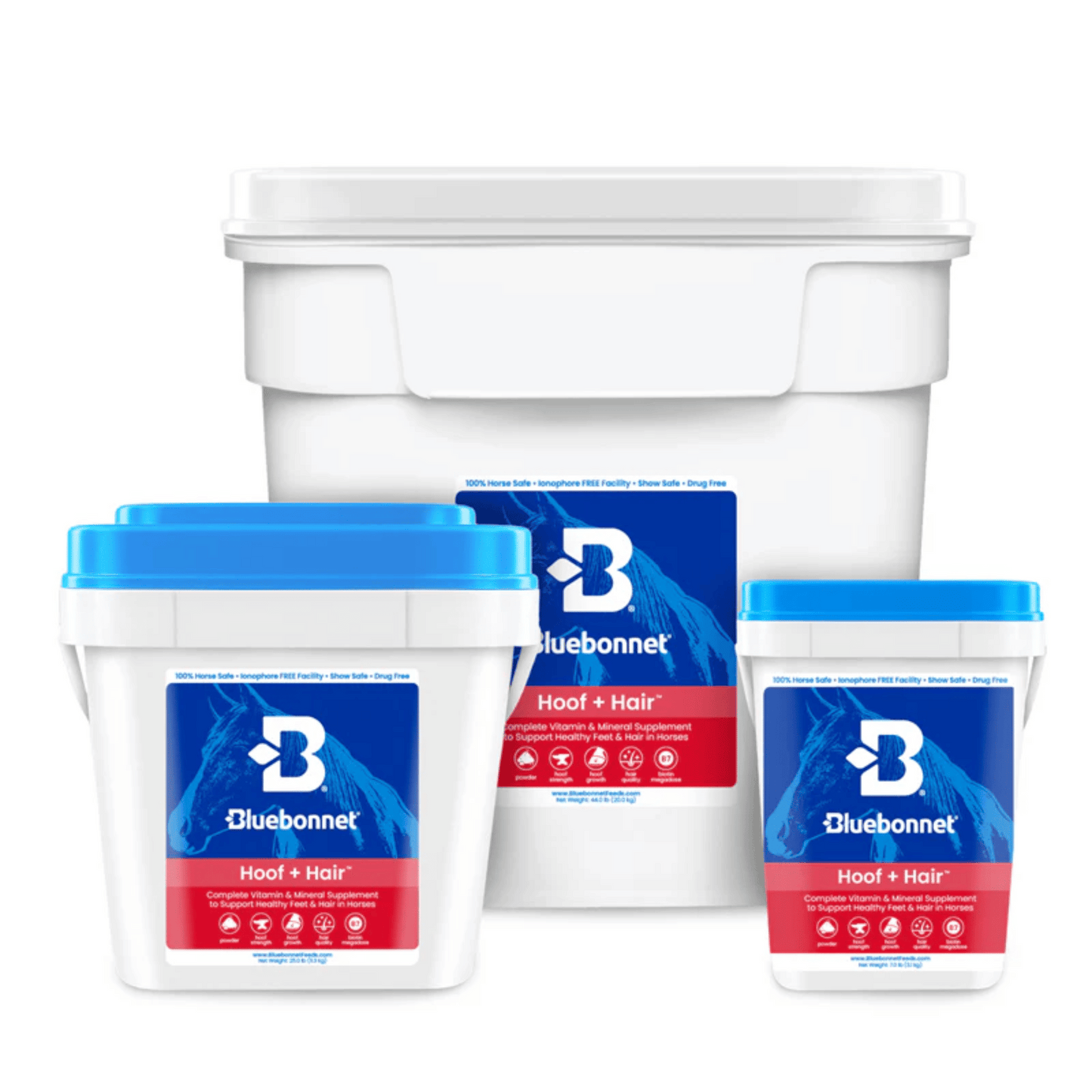 Bluebonnet Hoof + Hair