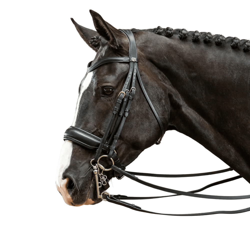 Dy'on Matte Large Crank Noseband Double Bridle