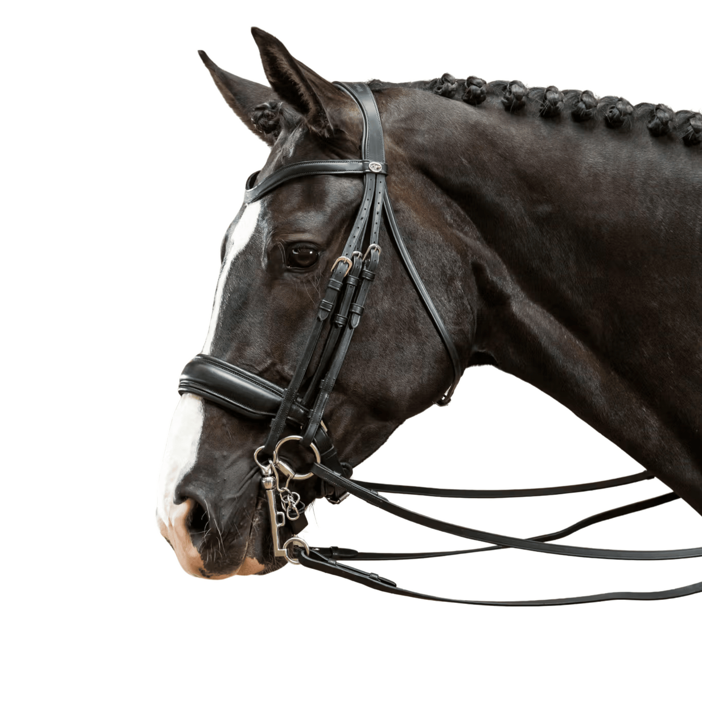 Dy'on Matte Large Crank Noseband Double Bridle