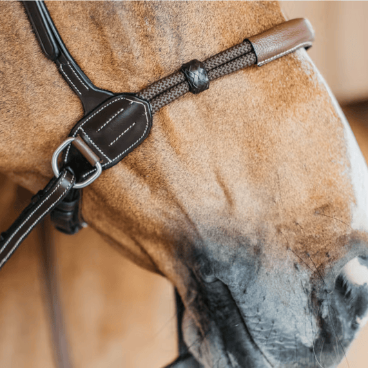 Dy'on Bitless Bridle