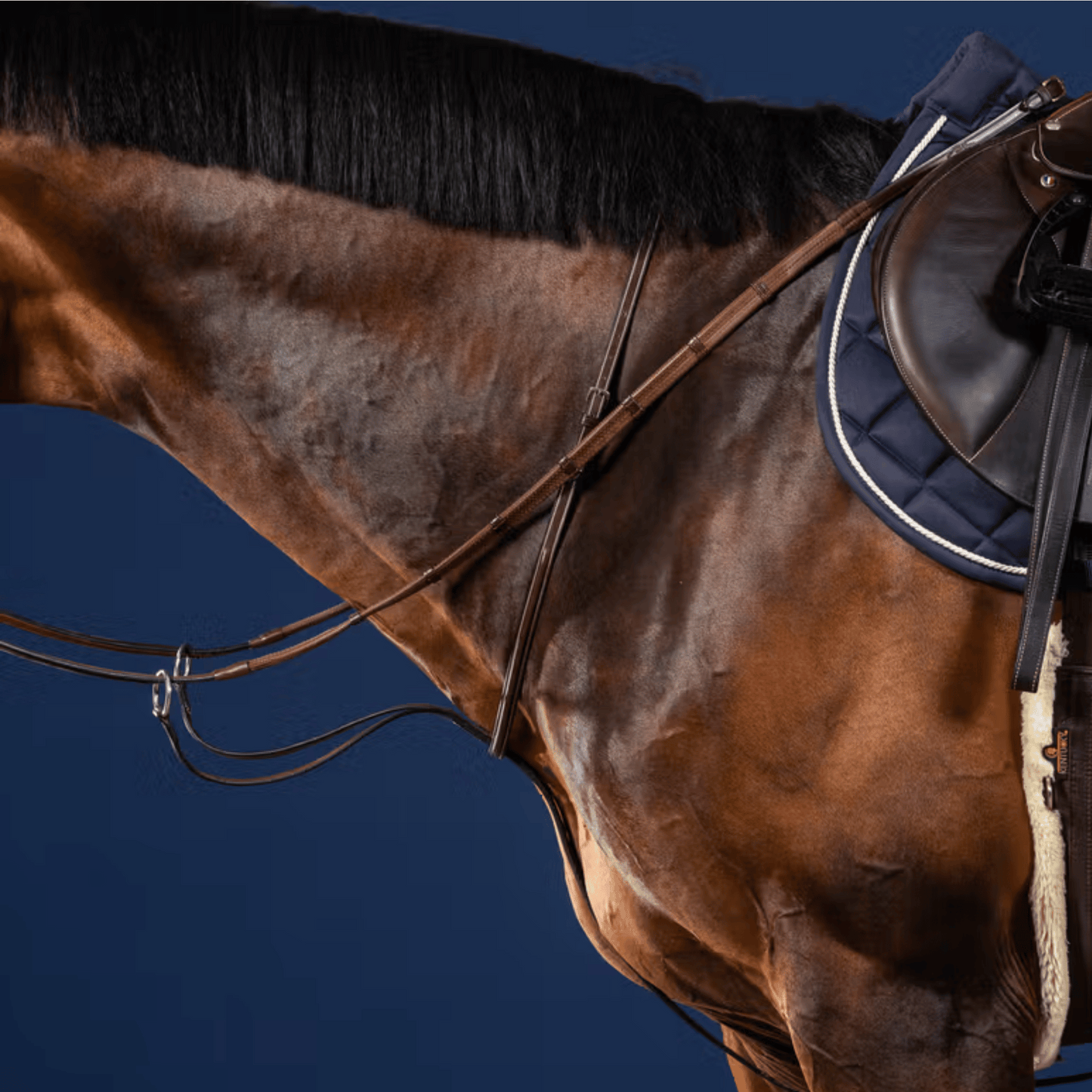 Dy'on Running Martingale US Collection