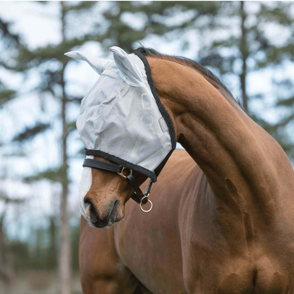 Horseware Ireland Amigo Fly Mask