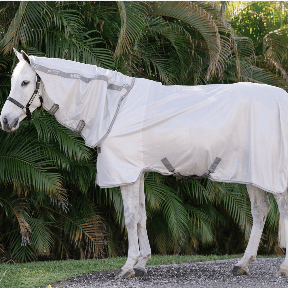 White horse wearing a fly sheet with a green leafy background