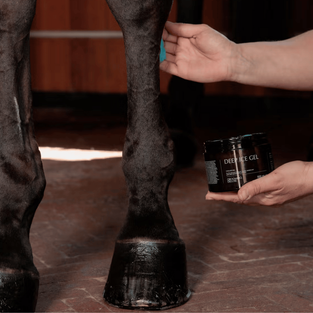 Grooming Deluxe Recovering Ice Gel