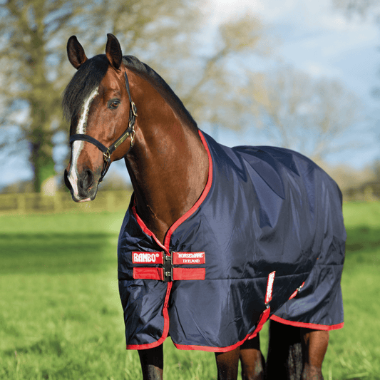 Rambo Original Turnout Blanket (200g Medium)
