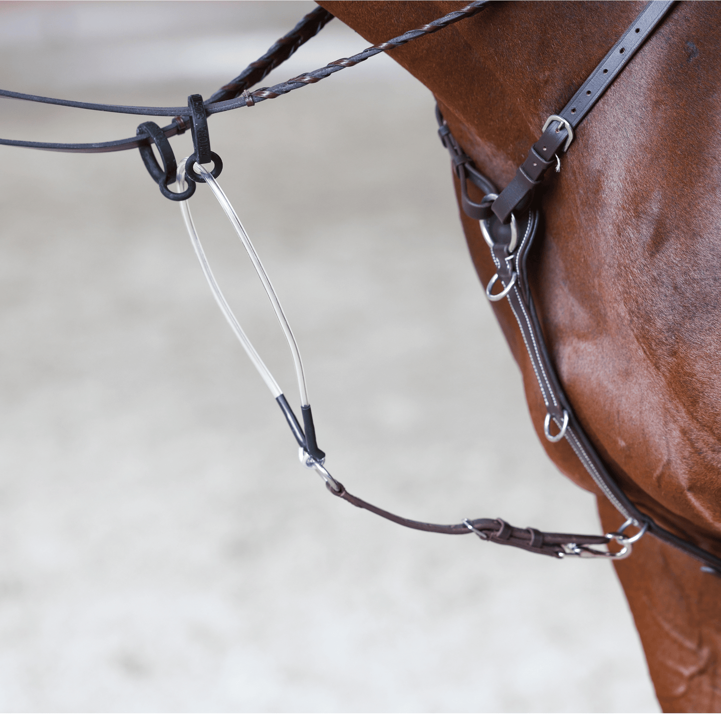 The Zentora SofTTurn Martingale