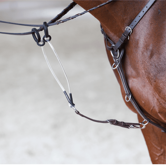 The Zentora SofTTurn Martingale