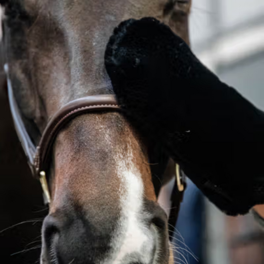 Grooming Deluxe Sheepskin Grooming Glove