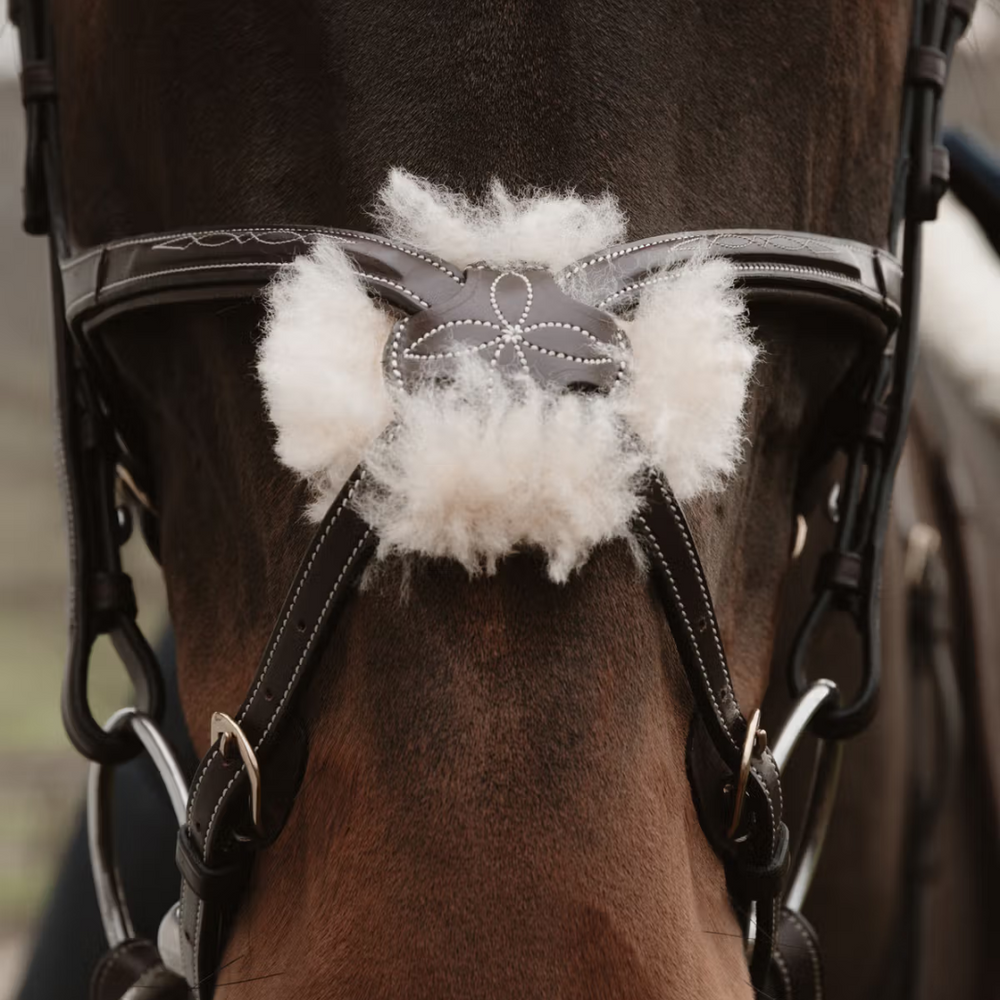 Dy'on Figure 8 Noseband with Chain