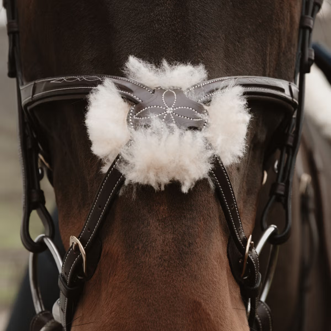 Dy'on Figure 8 Noseband with Chain