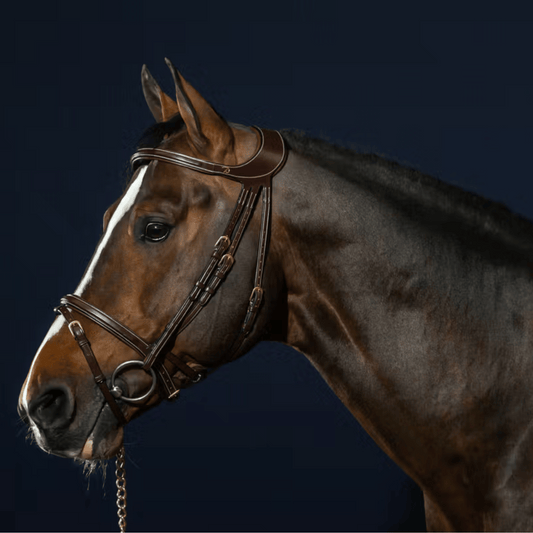 Dy'on "Difference" Bridle D Collection