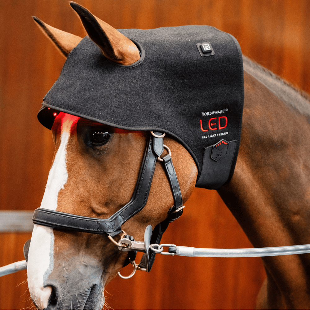 Horseware Ireland LED Red Light Poll Cap