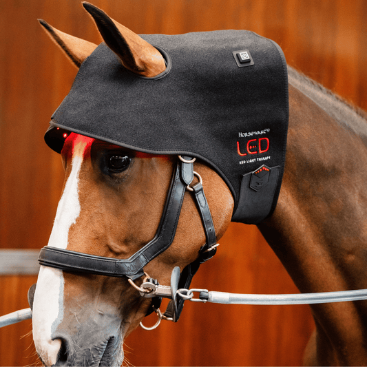 Horseware Ireland LED Red Light Poll Cap