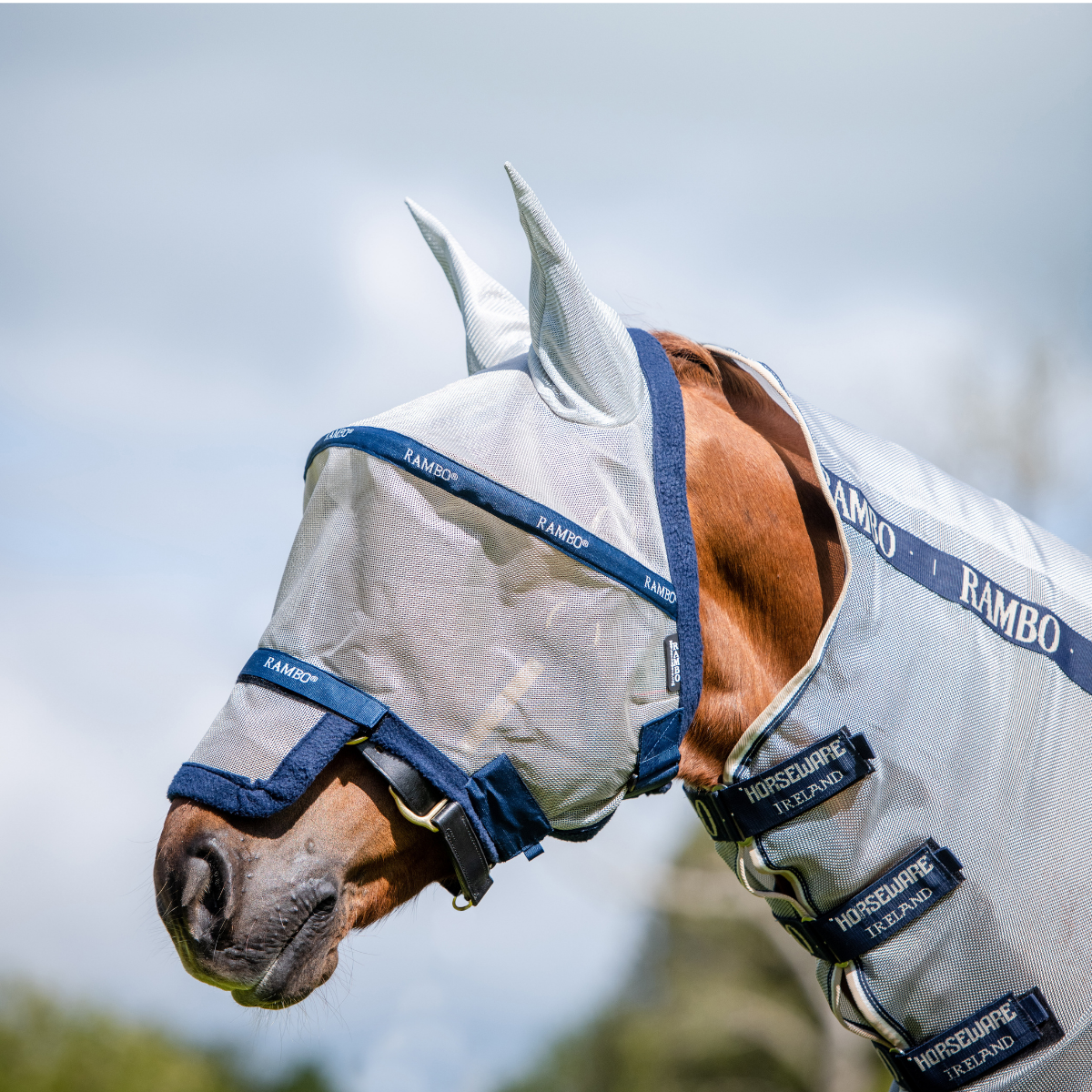 Rambo Plus Fly Mask with Ears