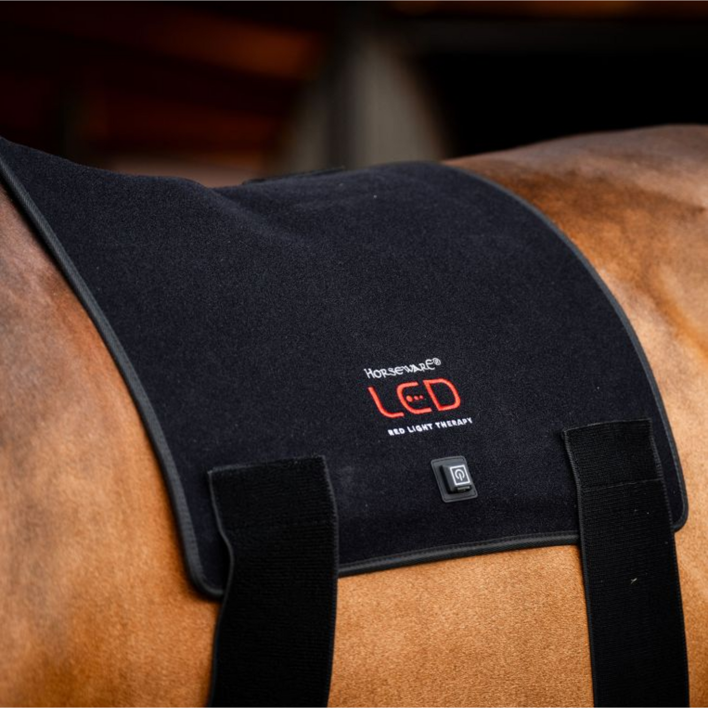 Horseware Ireland Red Light Back Pad