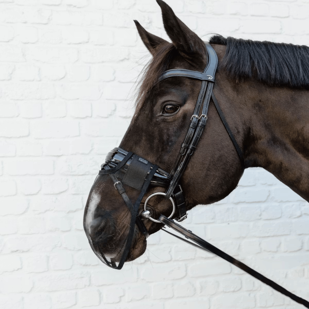 Kentucky Horsewear Anti Fly Nose Net