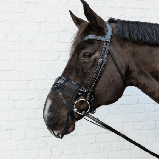 Kentucky Horsewear Anti Fly Nose Net