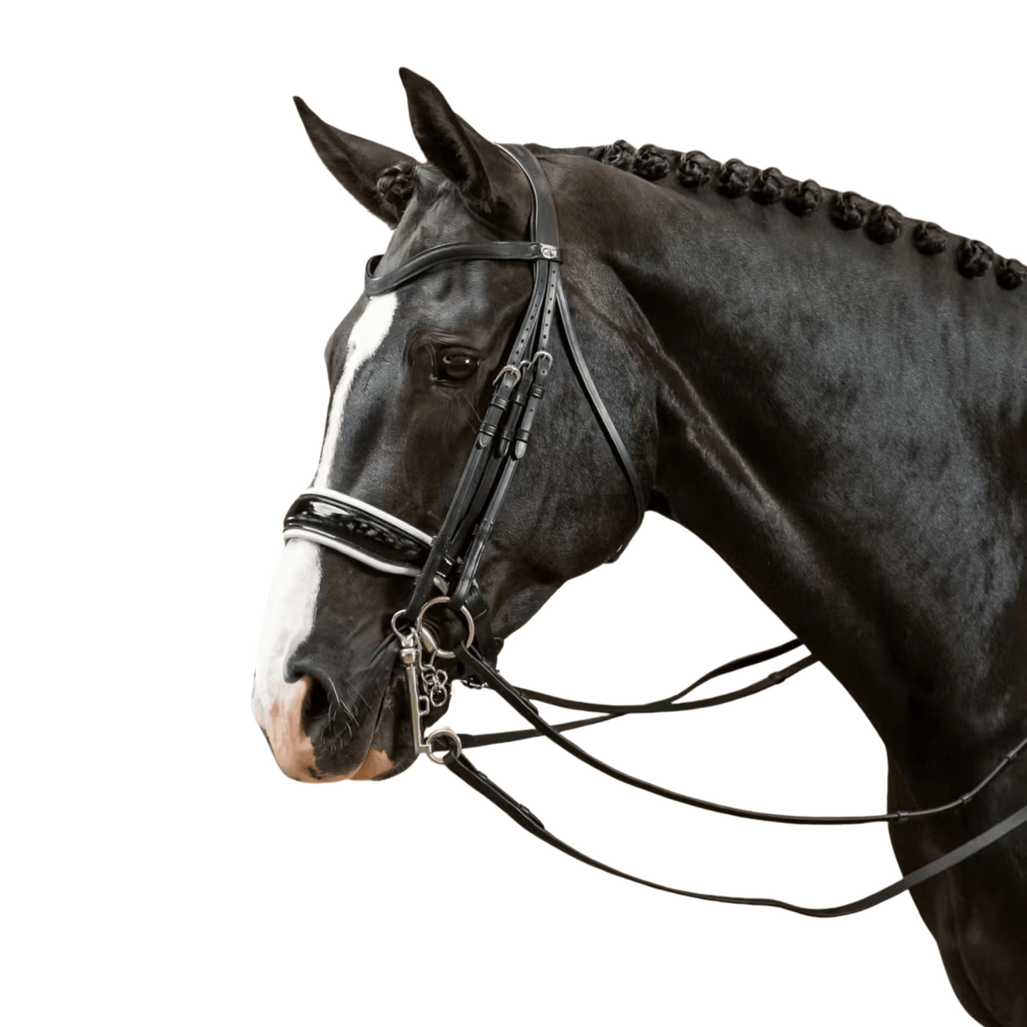 Dy'on Patent Large Crank Noseband with White Padding Double Bridle