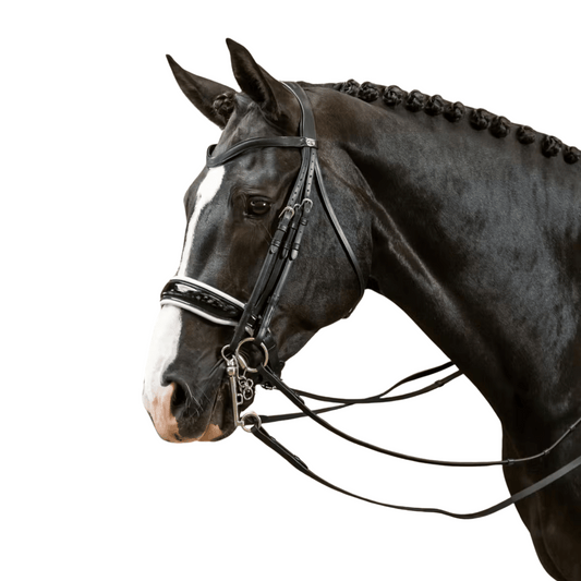 Dy'on Patent Large Crank Noseband with White Padding Double Bridle