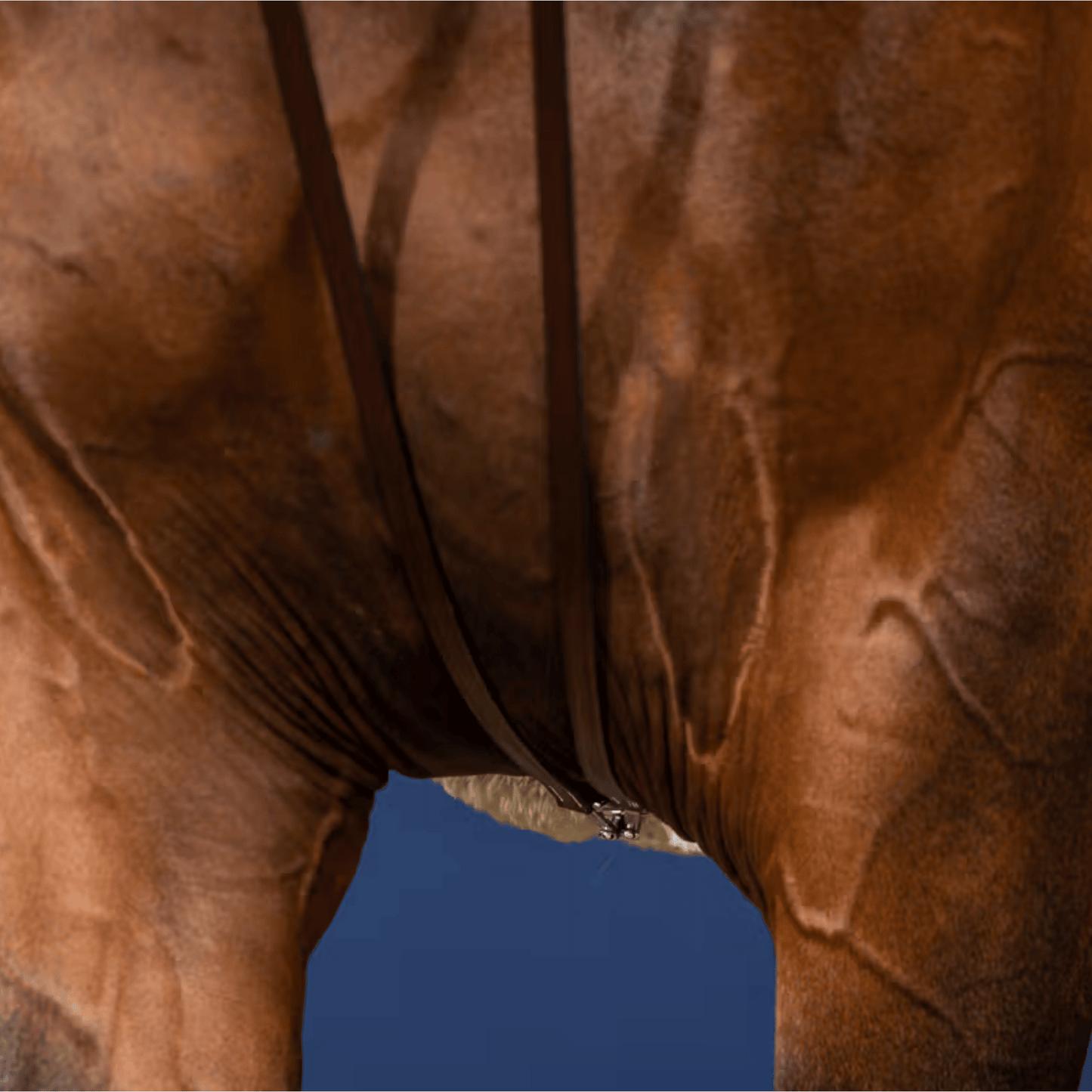 Dy'on Full Leather Draw Reins 1/2'' US Collection