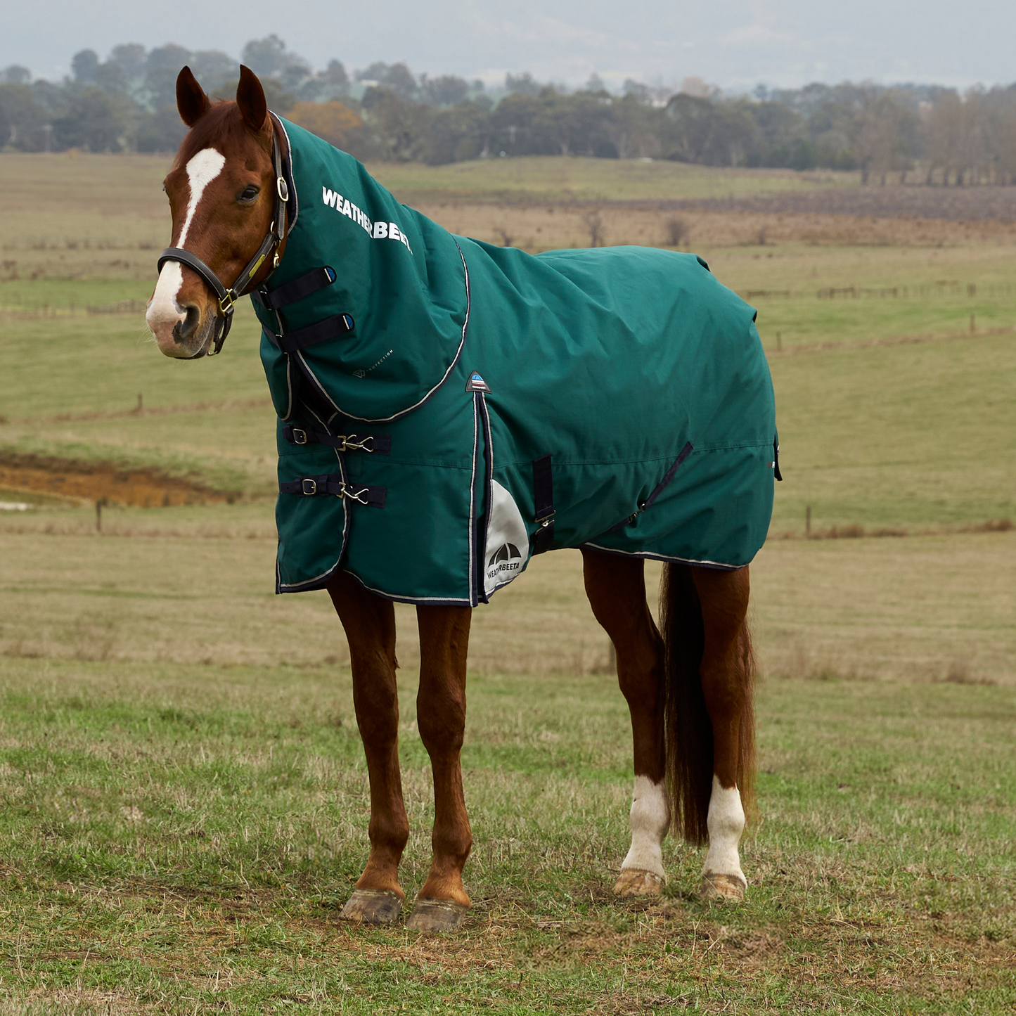 WeatherBeeta ComFiTec Plus Dynamic Turnout Detach-A-Neck 360G