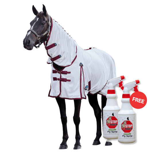 Weatherbeeta Comfitec Essential Sheet Combo Fly Sheet and Fly Spray BOGO