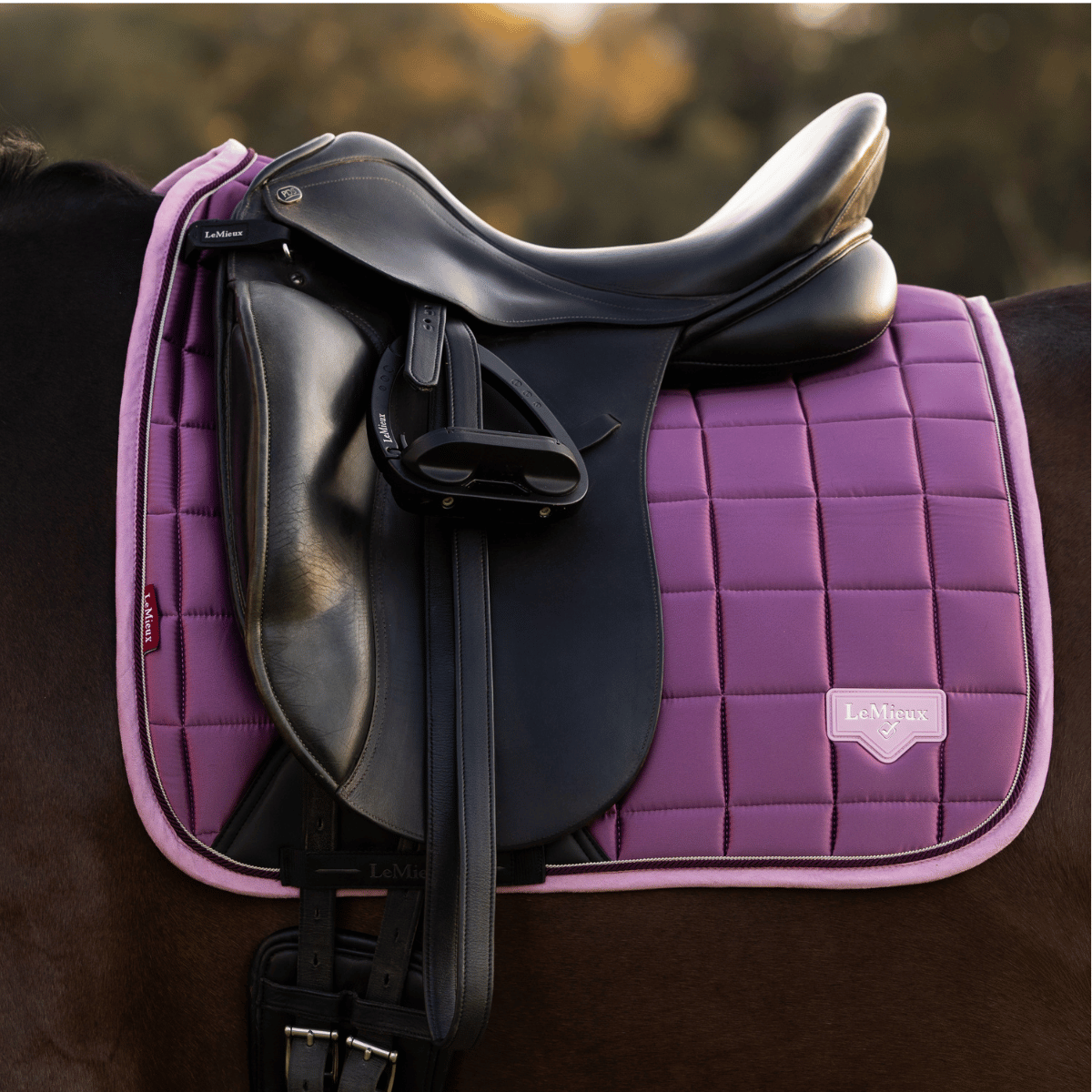LeMieux Loire Classic Dressage Saddle Pad