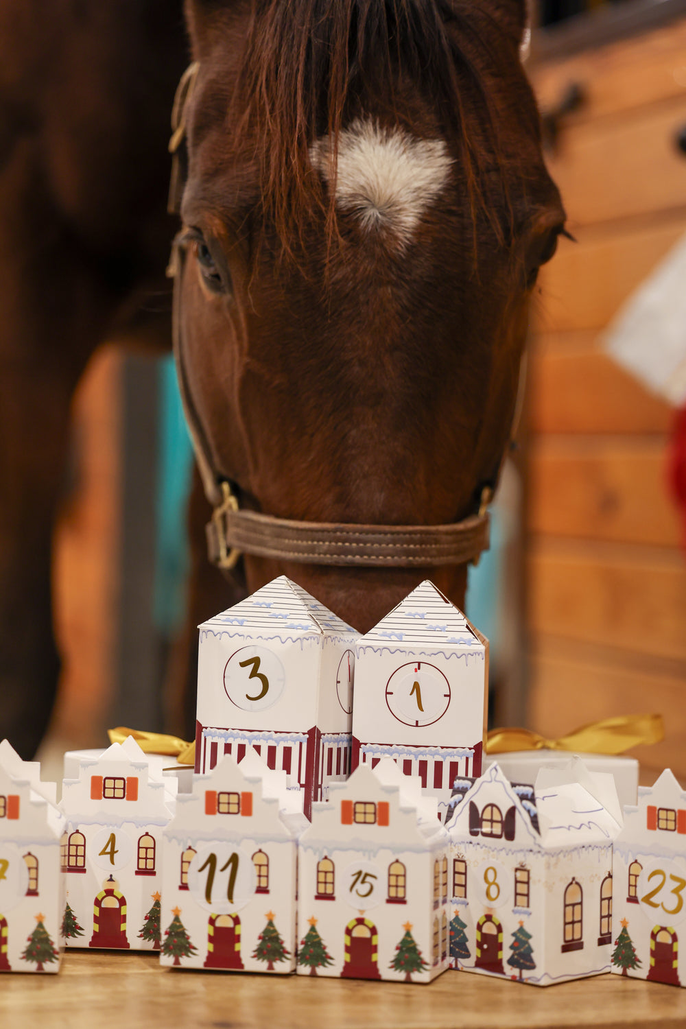 The Equestrian Advent Calendar by Corro