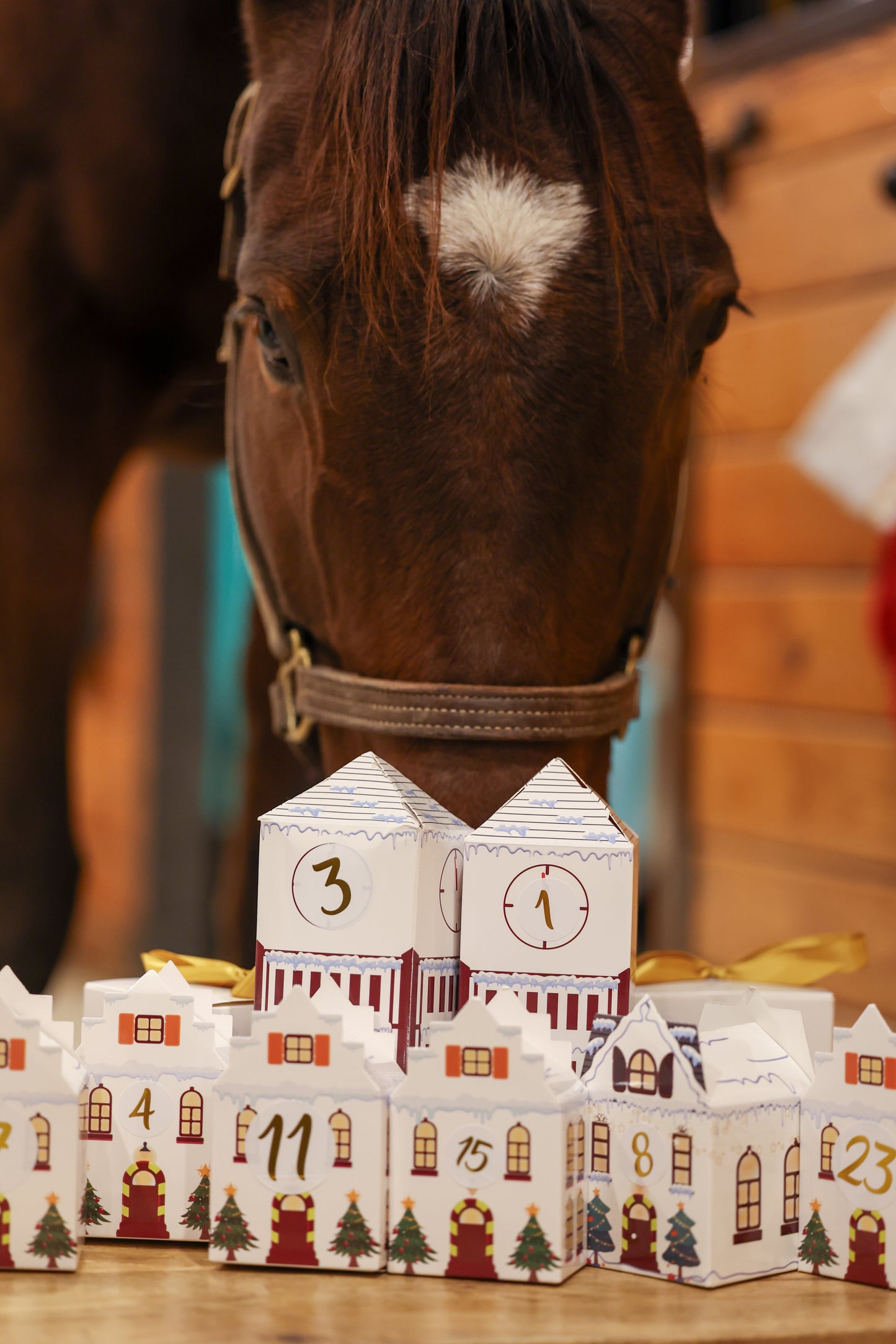 The Equestrian Advent Calendar by Corro