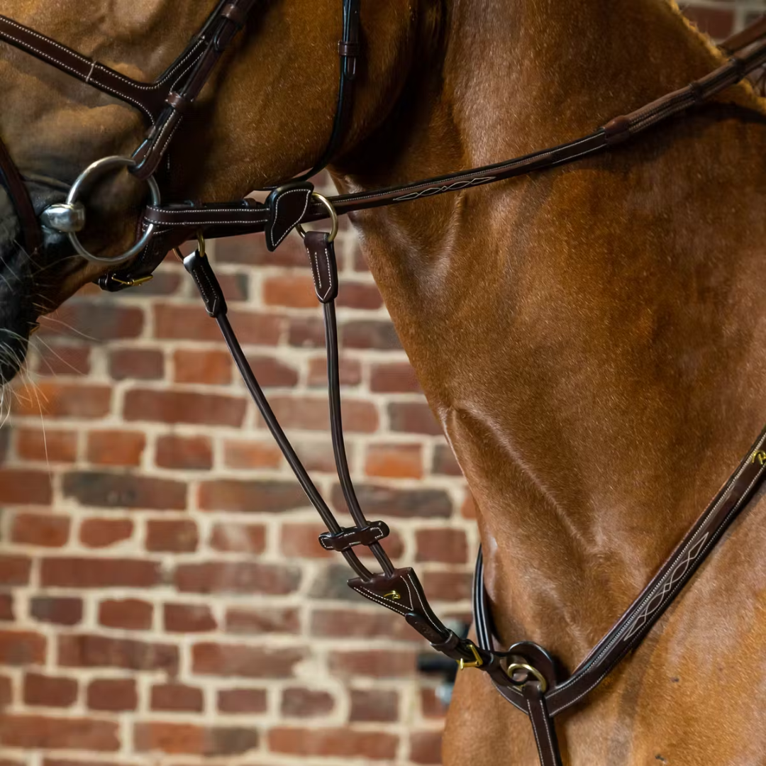 Dy'on Elastic Running Martingale Attachment D Collection