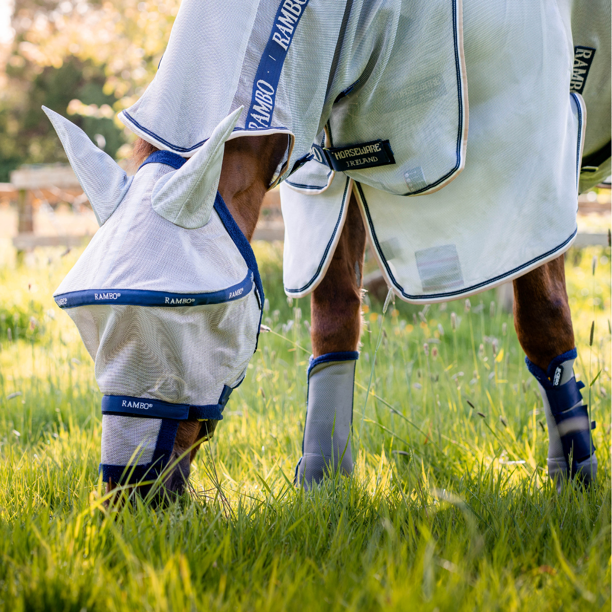 Rambo Plus Fly Mask with Ears