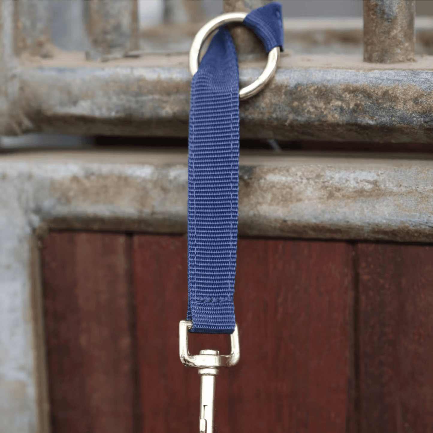 Kentucky Horsewear Nylon Holder Hook & Ring