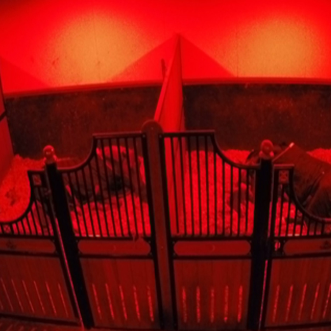 EquiLume Stable Light