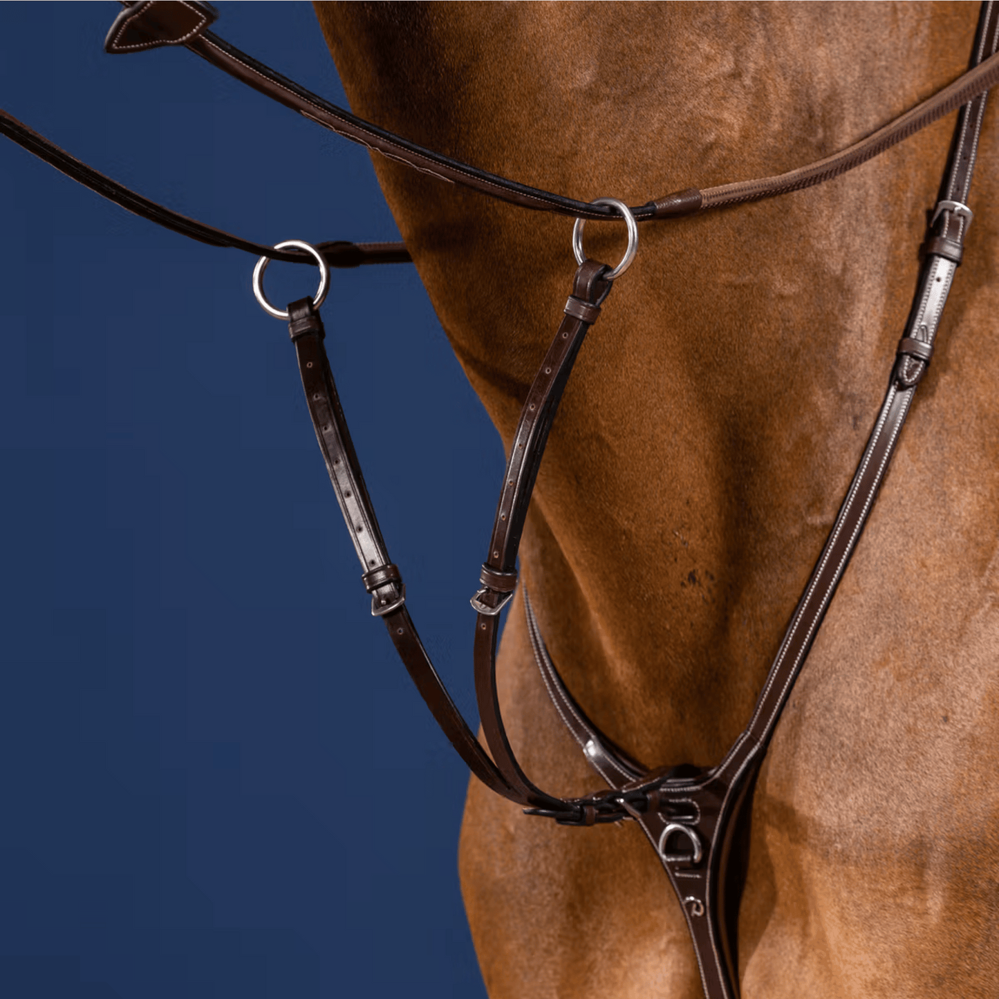 Dy'on Running Martingale Attachment US Collection